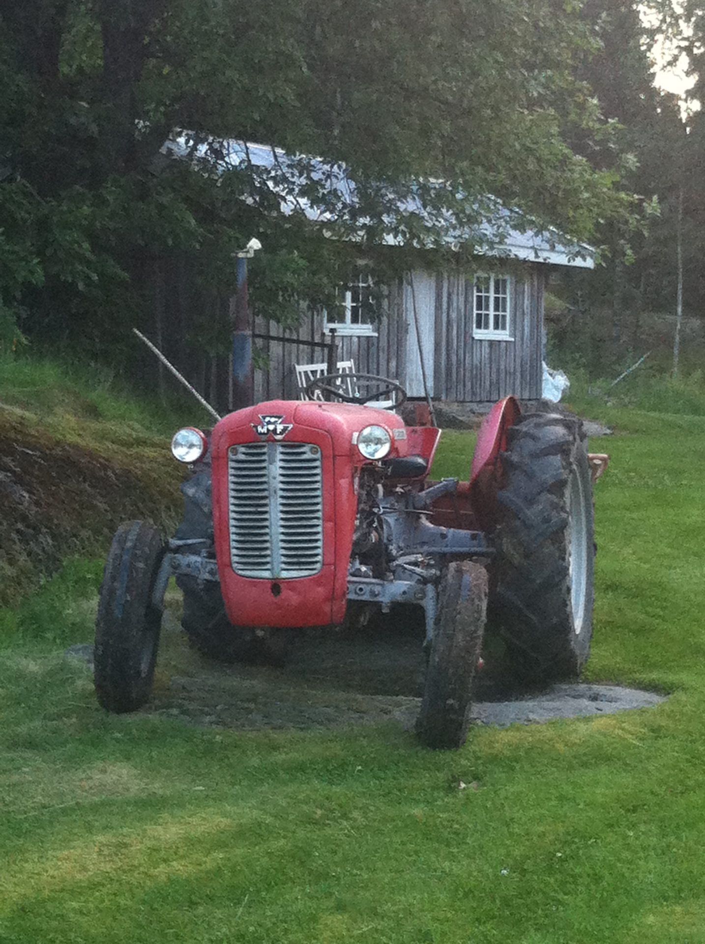 Gammel rød Massey Ferguson-traktor i gresset foran et grått uthus
